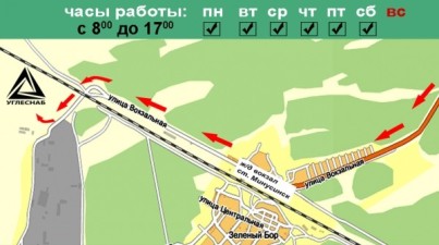 Уголь Черногорский ДО (25-60 мм)- орех